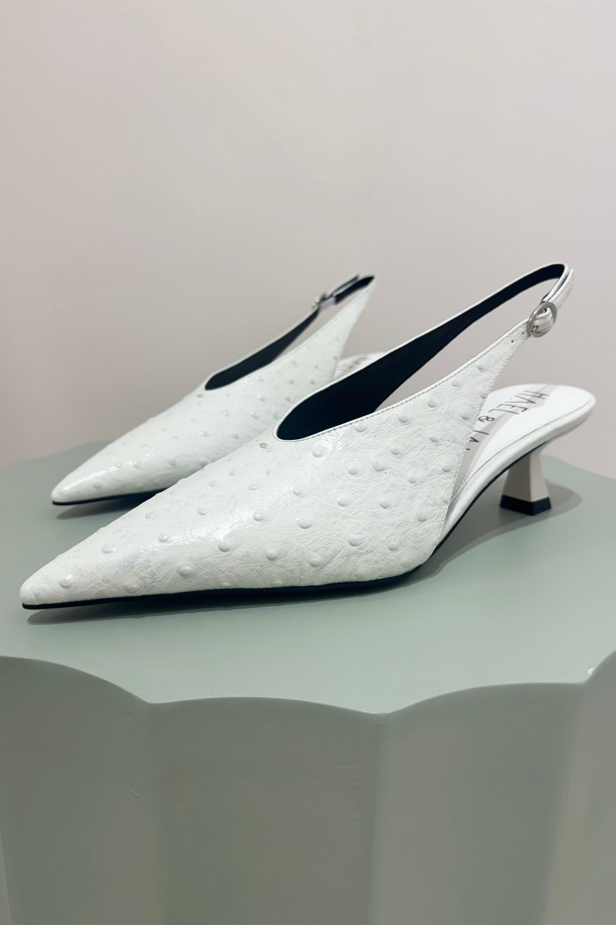 Hael & Jax Gimlet Low Pointed Pump | White