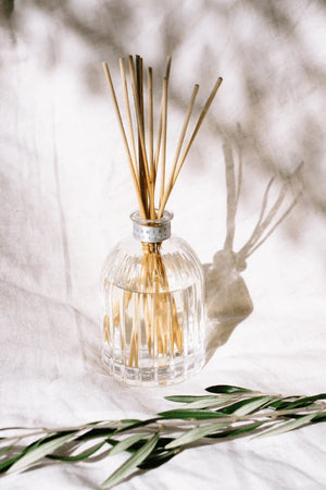 Peppermint Grove Diffuser | Coconut & Lime