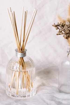 Peppermint Grove Diffuser | Vanilla Caramel